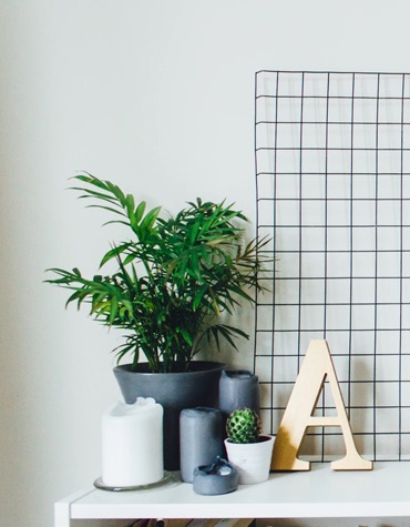 Table with plant and candles